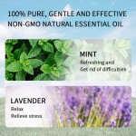 Roll On Oil Set - Aromatherapy Massage Blend