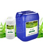 Aloe Vera Oil - Cold Pressed Hair Treatment