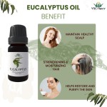 Aromatherapy Set - 12 Pack Synergy Blends