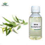 Eucalyptus Oil - Natural Air Freshener Aromatherapy