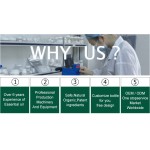 Guaiacol - High Quality CAS 90-05-1