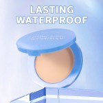 Setting Powder Manufacturer - Wholesale Pressed Delicate Oil Control