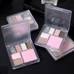 Eyeshadow Palette Manufacturer - AMG 7 Colors Glitter Matte Multifunctional