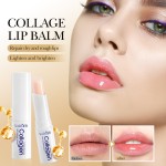 Lip Balm Manufacturer - Wholesale 2.7g Fruit Aloe VC Collagen