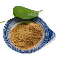 Wholesale Bulk White Button Mushroom Extract Powder Polysaccharide