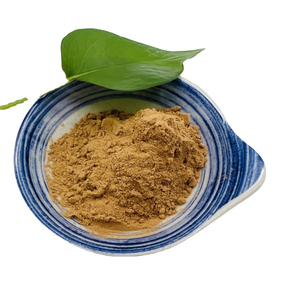 Wholesale Bulk White Button Mushroom Extract Powder Polysaccharide