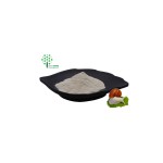 Cosmetics Raw Material Snail Slime Extract Powder
