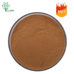 Antrodia Cinnamomea Extract Polysaccharides Powder for Dietary Supplement