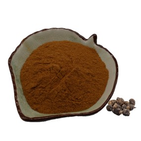 Manufacturer Hot Sale Pure 100% Naturel Premium Organic Black Maca Root Extract Powder