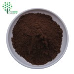 Organic / Natural Lion's Mane Mushroom Extract 3% Erinacines