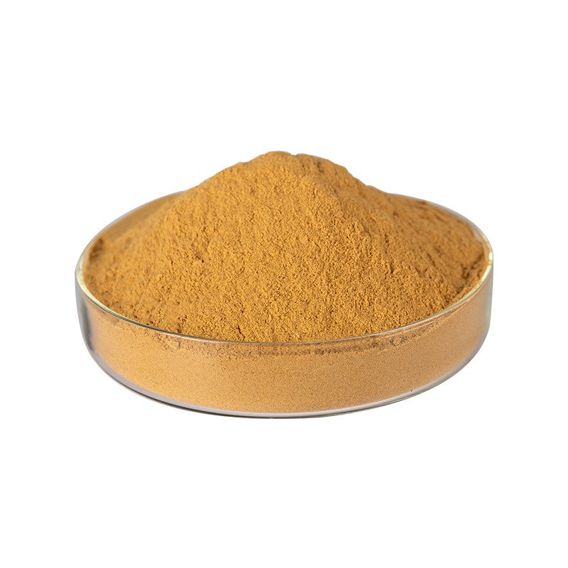 Supplement Sparassis Crispa Extract Polysaccharide Powder