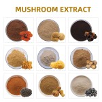 Bulk Supply Chaga Mushroom Extract Chaga Dual Extract Polysaccaride 20% Triterpene 4%