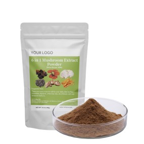 EU&USDA Organic Blend Lions Mane Cordyceps Shiitake Maitake Reishi Chaga Mushroom Extract Powder