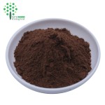 Organic / Natural Lion's Mane Mushroom Extract 3% Erinacines