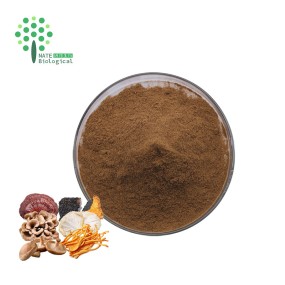 6 in 1 Powerful Mushroom Extract Blend Powder -Lions Mane, Reishi, Cordyceps, Chaga, Turkey Tail, Maitake Extract
