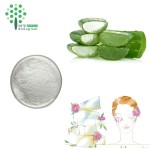 Skin Care Raw Material Natural Aloe Vera Gel Freeze Dried Powder 100:1