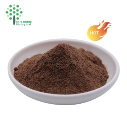 Hericium Erinaceus Extract Hericenones and Erinacines 4% Powder