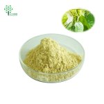 Natural Kava Root Extract Powder Kavalactones Kava Powder