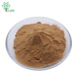OEM Customized Herbal Extract Capsules Lion's Mane Cordyceps Turkey Tail Maitake Reishi Chaga Mushroom Powder