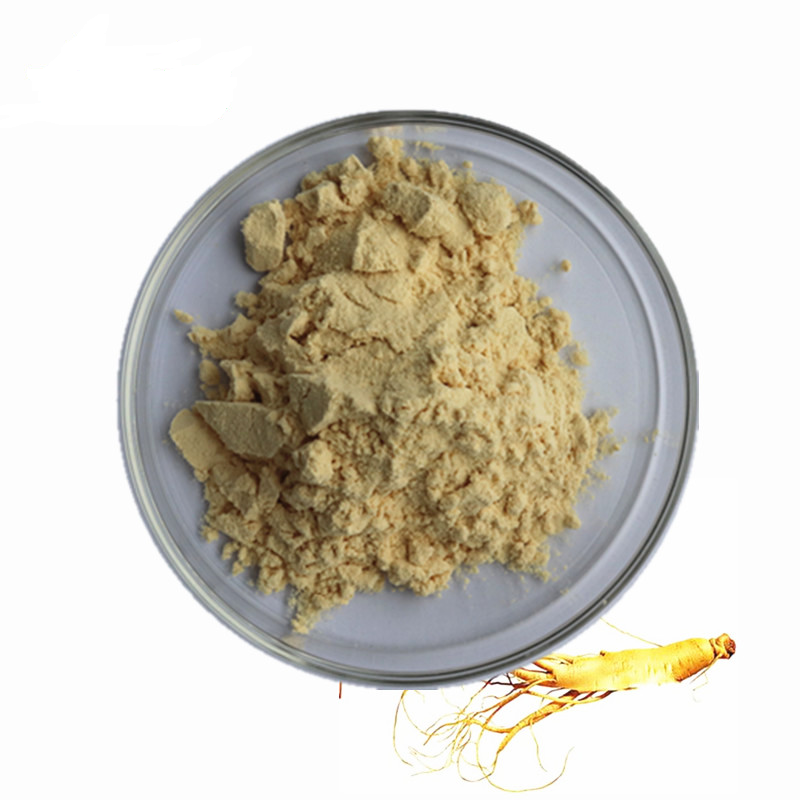 Dietary Supplement Bulk Panax Ginseng American Siberian Ginseng Extract Powder