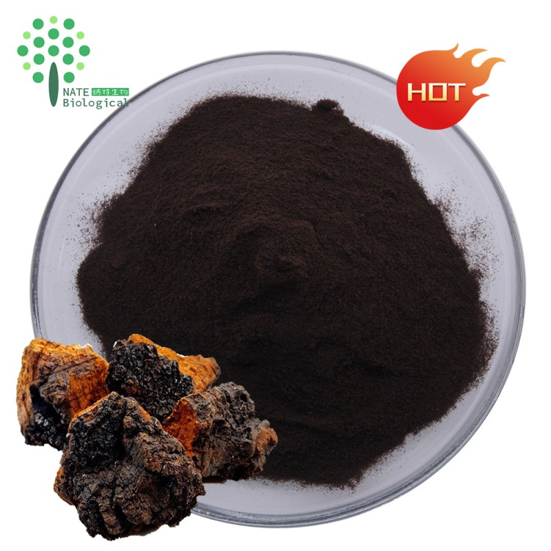 Black Gold Inonqqus Obliquus Extract Powder Polysaccharide 40% 50% Beta Glucan