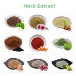 Cosmetic Skin Whitening Ingredient Powder CAS 175357-18-3 Sepiwhite MSH