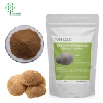 OEM Lions Mane Mushroom Extract Powder with Private Label 100G 3.5 OZ BAG