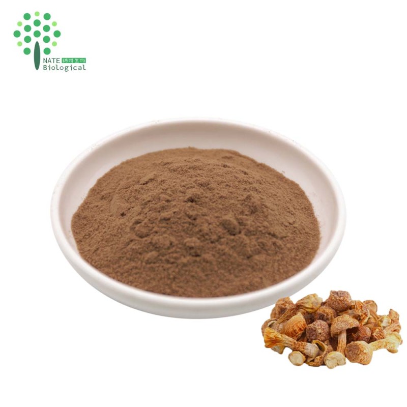 Supplement Almond Mushroom Extract Polysaccharide 50% Powder
