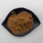 Eucommia Ulmoides Extract Chlorogenic Acid Bulk Powder