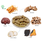 Customized Private Capsules Instant 8 in 1 Mixed Mushroom Powder Lions Mane Reishi Cordyceps Chaga Shiitake Maitake Extract