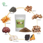 Customized Private Capsules Instant 8 in 1 Mixed Mushroom Powder Lions Mane Reishi Cordyceps Chaga Shiitake Maitake Extract