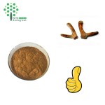 High Quality Deer Antler Velvet Extract Powder 10:1 20:1 Deer Antler Extract