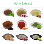 Skin Whitening Cas 81646-13-1 99% Sepi White Powder  Cosmetic Grade  Sepiwhite Powder