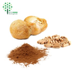 OEM Customized Herbal Extract Capsules Lion's Mane Cordyceps Turkey Tail Maitake Reishi Chaga Mushroom Powder