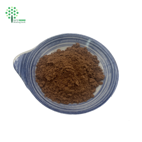 Bai Zhu Rhizoma Atractylodes Macrocephalae Extract 10:1 Atractylodes Extract