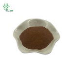 Natural Motherwort Extract Powder Leonurus Japonicus Extract