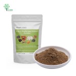 Customized Private Label Organic 8 in 1 Instant Mushroom Blend Powder 100G 3.5 OZ BAG