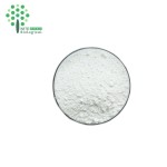 Top Quality Product Tranexamic Acid 99% Skin Whittening CAS: 1197-18-8