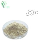 Evodia Rutaecarpa Fruit Extract Powder 98% Evodiamine Cas 518-17-2