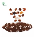 Private Label Mushroom Complex Extract Mushroom Coffee Powder Arabica Instant Coffee