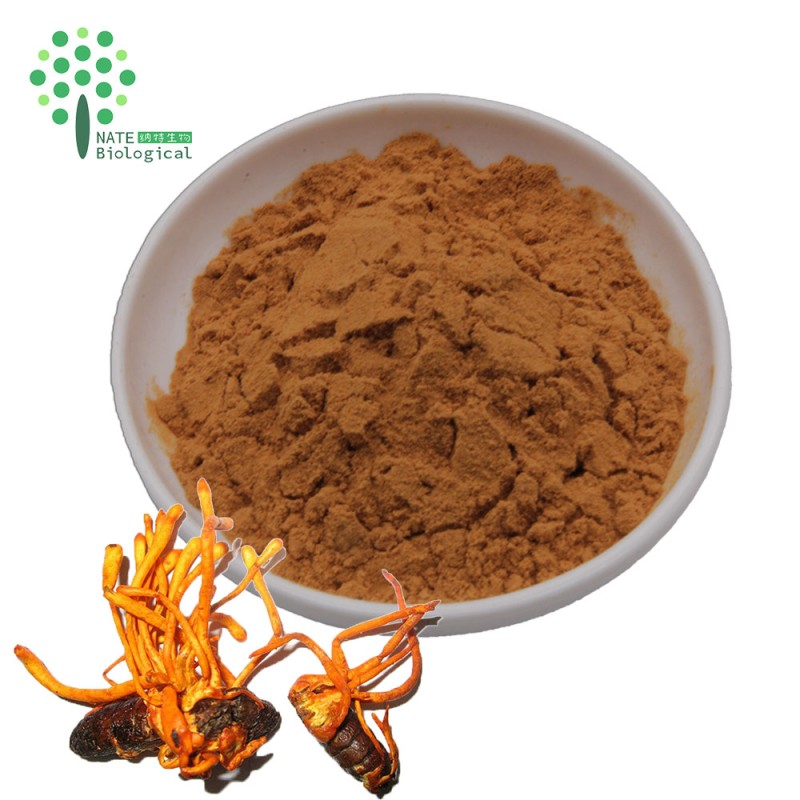 Wholesale Bulk Cordyceps Militaris Mushroom Powder Extract Cordycepin 1.0 Powder