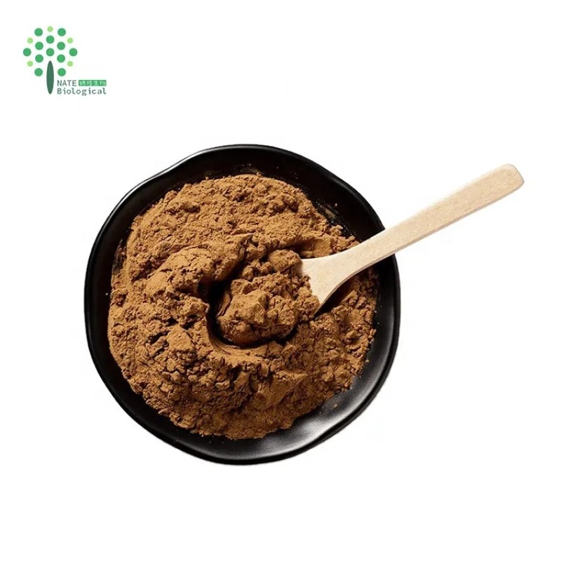 OEM Customized Capsules with Mushroom Extract Powder Lions Mane Cordyceps Turkey Tail Maitake Reishi Chaga-in Drum Packaging