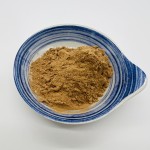 Wholesale Bulk White Button Mushroom Extract Powder Polysaccharide