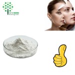 Top Quality Product Tranexamic Acid 99% Skin Whittening CAS: 1197-18-8