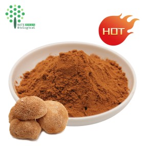 Lions Mane Mushroom Extract Polysaccharide Beta Glucan Powder
