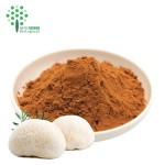 EU and USDA Organic Lions Mane Mushroom Extract Beta D Glucan in 100% Water Soluble Type