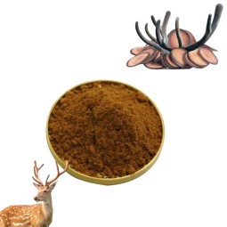 Supply Water Soluble Deer Velvet Antler Extract Powder 10:1 20:1 Deer Antler Extract Powder