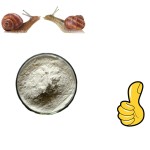 Skin Care Material Snail Powder Snail Slime Extract Powder