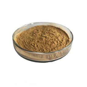 30% Polysaccharides Powder Phallus Impudicus Mushroom Extract UV Test Available in Drum or Glass Container Packaging