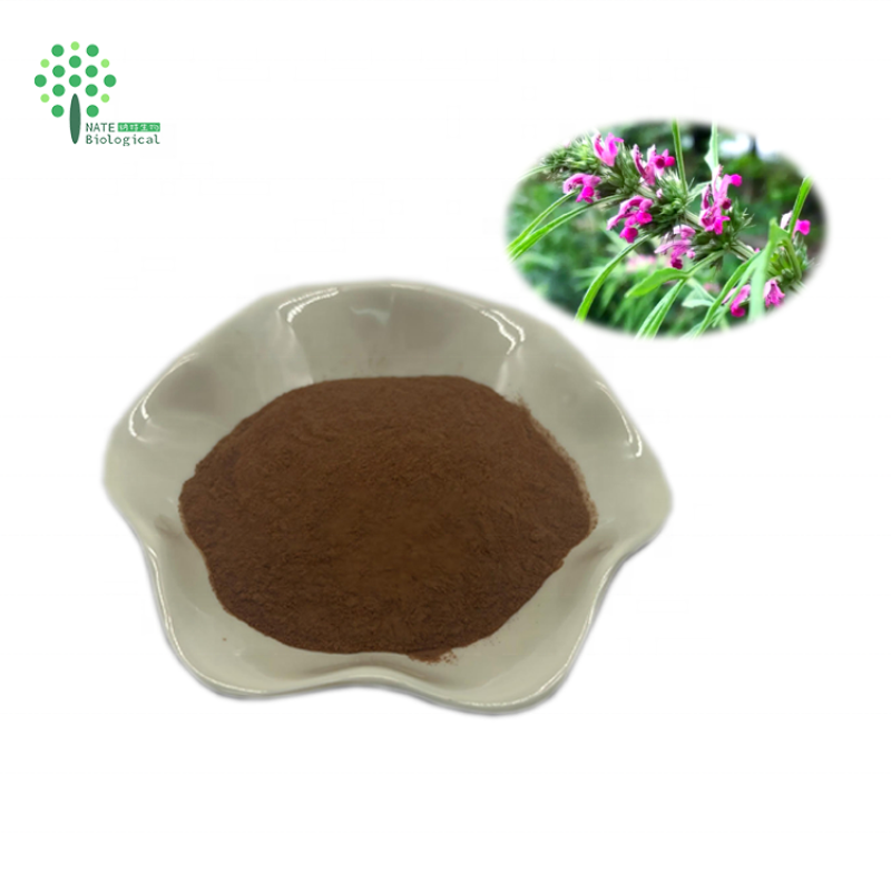 Natural Motherwort Extract Powder Leonurus Japonicus Extract